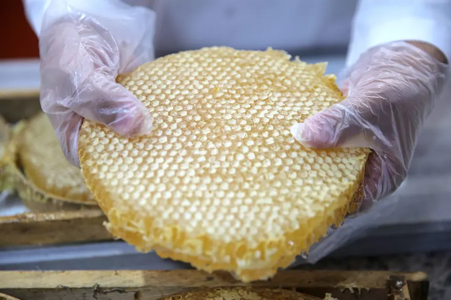 Devlet desteğiyle tesis kurdu: 20 kişiye iş imkanı sağladı 2