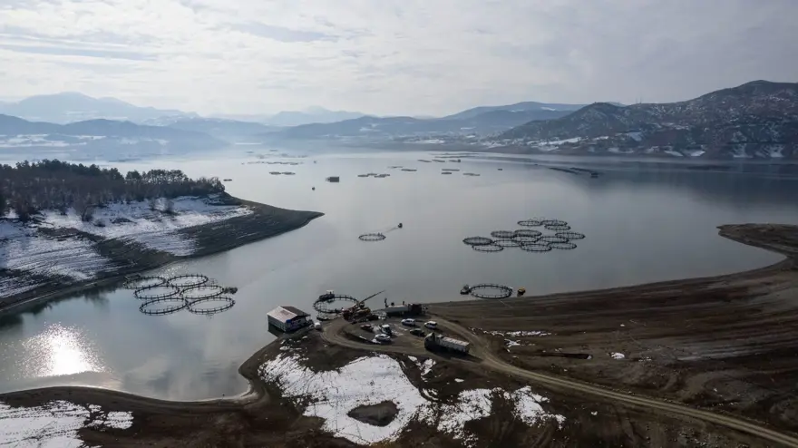 Tokat'ın somonları dünya sofralarına ulaşıyor: Rusya, Çin, Japonya ve Avrupa'ya satılıyor 4