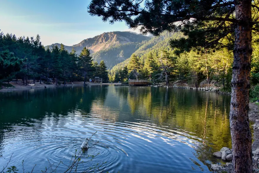 "COVİD-19 ÖNLEMLERİNİN TAMAMINI ALDIK" 2