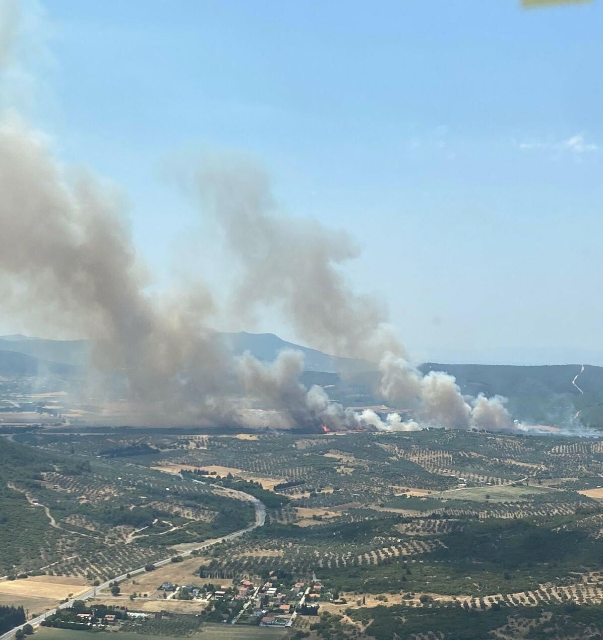 İzmir'in iki ilçesinde çıkan orman yangınları kontrol altına alındı