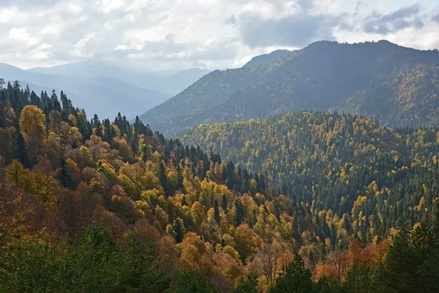 yedigöller milli parkı, sonbahar, Gölcük Tabiat Parkı, doğa, Bolu, bolu gezilecek yerler 17 yedigöller milli parkı, sonbahar, Gölcük Tabiat Parkı, doğa, Bolu, bolu gezilecek yerler 17