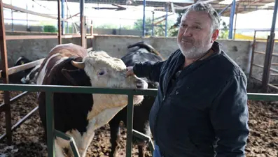 Öfkeli boğanın saldırısından canını zor kurtardı: Ölümle burun buruna geldim