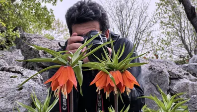 ''Ağlayan gelinler''i fotoğraflamak için zorlu yolları aşıyorlar