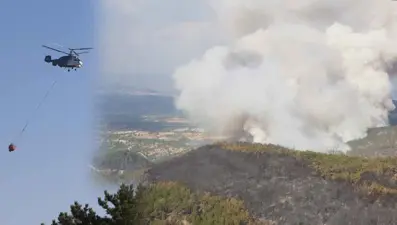Bakan Pakdemirli: Ankara'nın Nallıhan ilçesinde çıkan yangın tamamen kontrol altına alındı