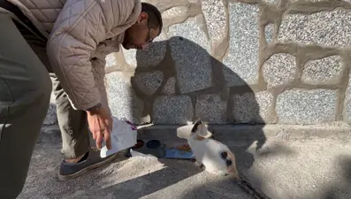 Yürek ısıtan hikaye: Engelli kedinin bakımı için üşenmeden 60 kilometre yol gidip geliyor