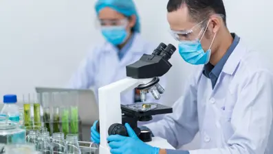 Dişi, erkek ve biseksüel: Üç farklı cinsiyete sahip tatlı su yosunu türü keşfedildi