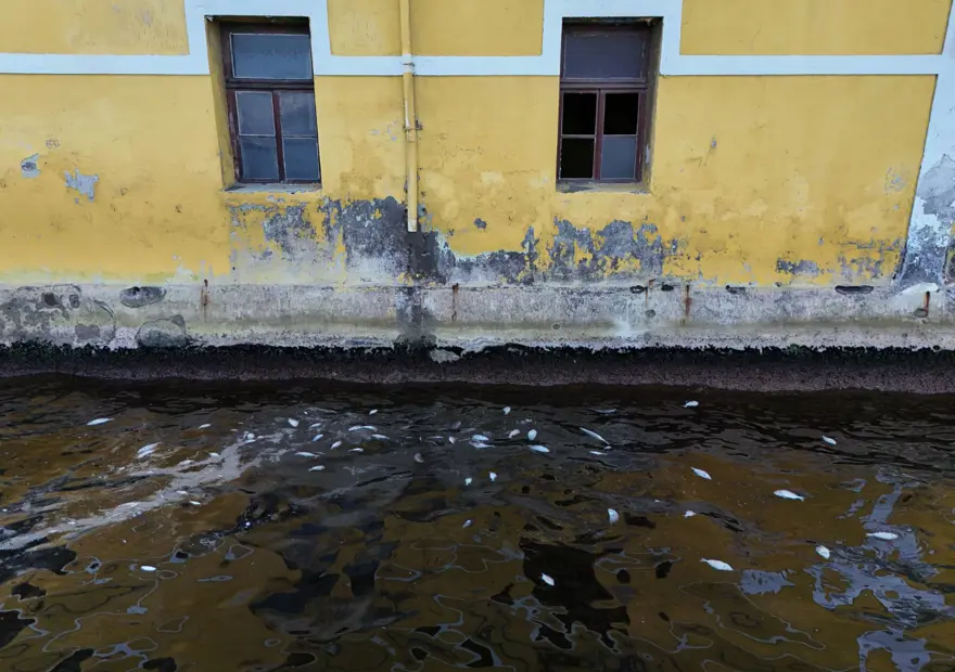 İzmir Körfezi'nde oksijen artırma çalışması 