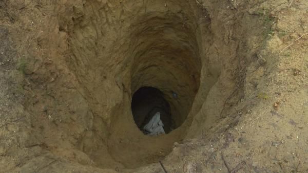 Belgrad Ormanı'nda define avı: Devasa çukur şaşkına çevirdi