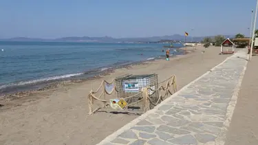 Caretta caretta yumurtaları koruma altına alındı