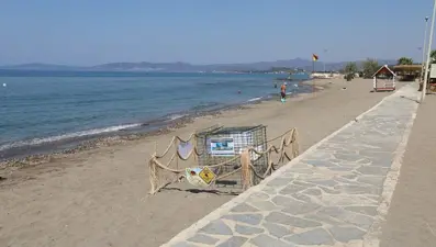 Caretta caretta yumurtaları koruma altına alındı