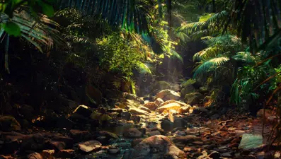 Peru'da yapılan araştırmada 27 yeni hayvan türü keşfedildi