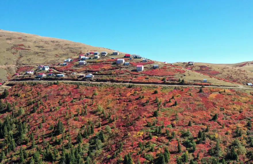 Trabzon-Giresun sınırındaki Sis Dağı'nda güz zamanı 4