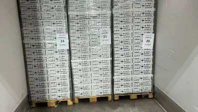 Aydın'dan İtalya'ya 19 ton ihraç edilecek: Ülke ekonomisine büyük katkı sağlıyor