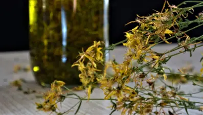 “Kantaronu, güneş kremi olarak kullanmayın”