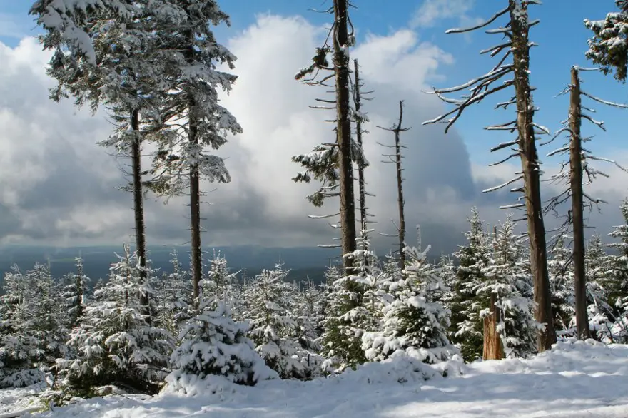 Yaz bekliyorlardı kar geldi 2