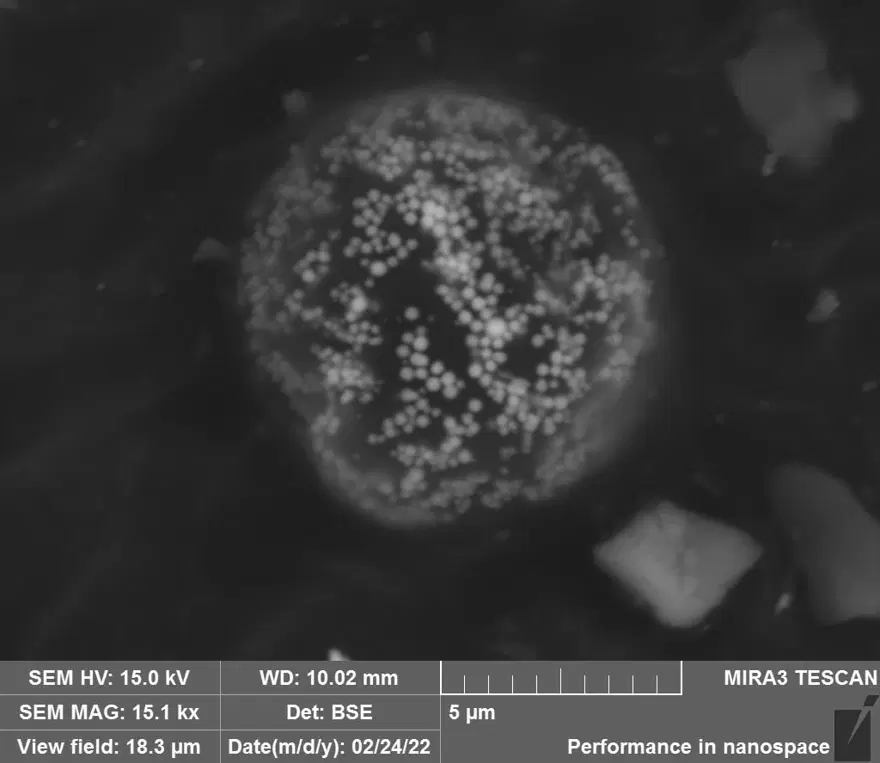 Apollo 11 göreviyle Ay'dan toplanan örnekler açık artırmaya çıkıyor 3 Apollo 11 göreviyle Ay'dan toplanan örnekler açık artırmaya çıkıyor 3