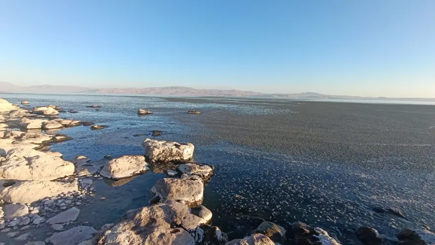 Van Gölü kıyısında oluştu: "Tek bir damla kirli su dahi çok fazla" 1 Van Gölü kıyısında oluştu: "Tek bir damla kirli su dahi çok fazla" 1