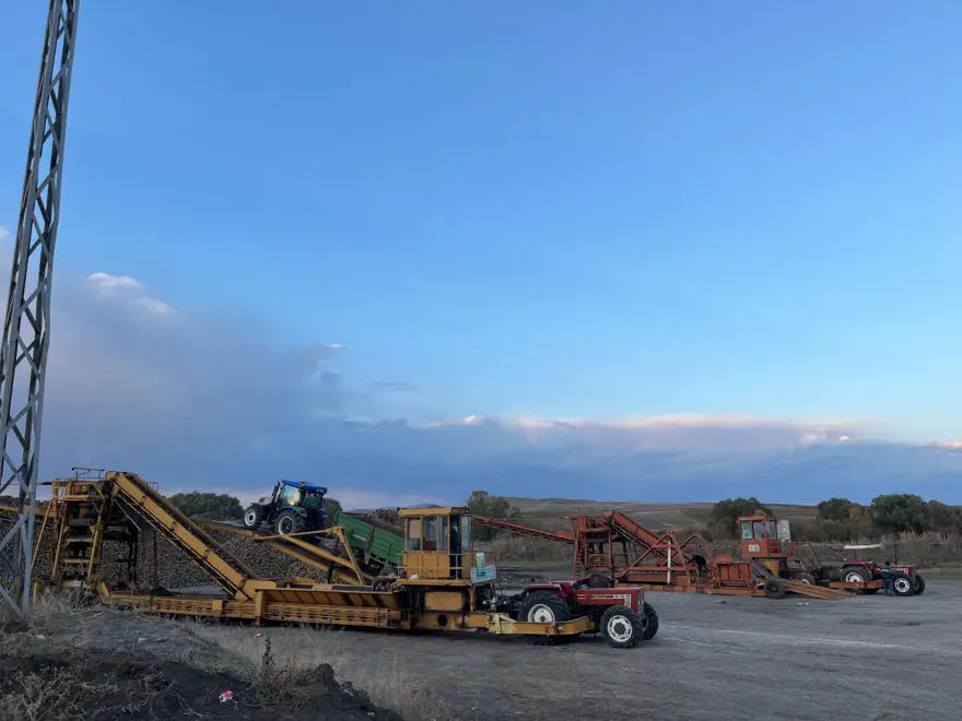 Gece gündüz tarladalar: Toplamak için zamanla yarışılıyor 3