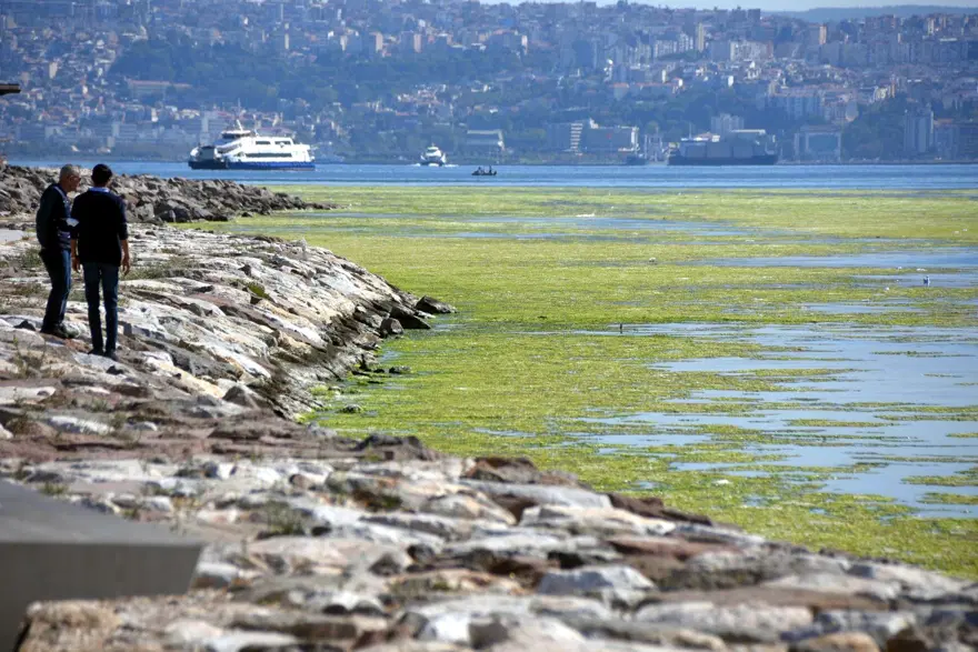 İzmir'de denizin rengi yeşile döndü 2 İzmir'de denizin rengi yeşile döndü 2