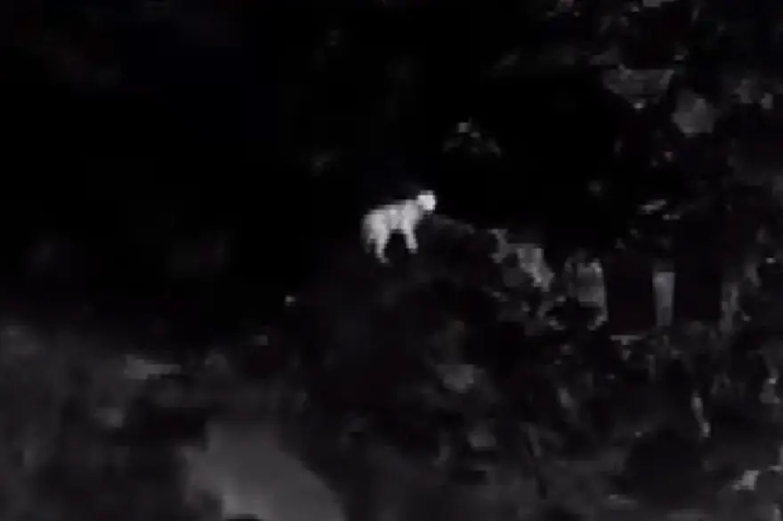 GECE KAMERASINA YANSIDI 2