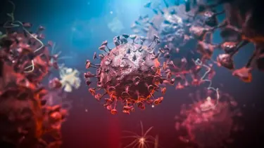 Yeni salgın buralardan çıkabilir: Her yıl 400 bin kişi enfekte oluyor