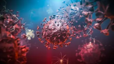 Yeni salgın buralardan çıkabilir: Her yıl 400 bin kişi enfekte oluyor