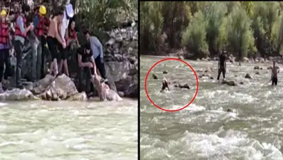 Zap Suyu'nda sürüklenen ayıyı rafting ekibi kurtardı