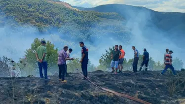 Düzce'de anız yangını: Ormanlık alana sıçramadan söndürüldü