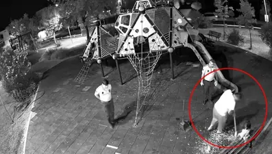 Zabıta ekipleri kameralardan tespit etti: Parka gidip hepsini temizlettirdi
