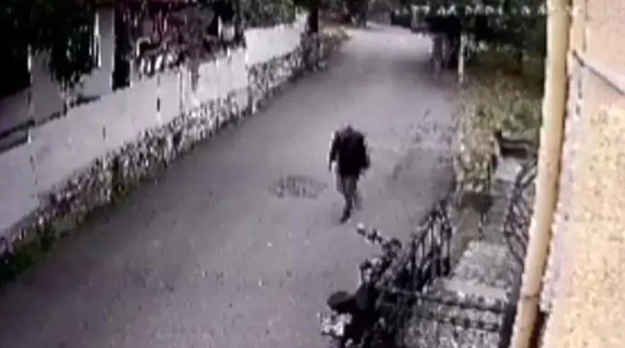 BEYAZ KOVA AYRINTISI 9 BEYAZ KOVA AYRINTISI 9