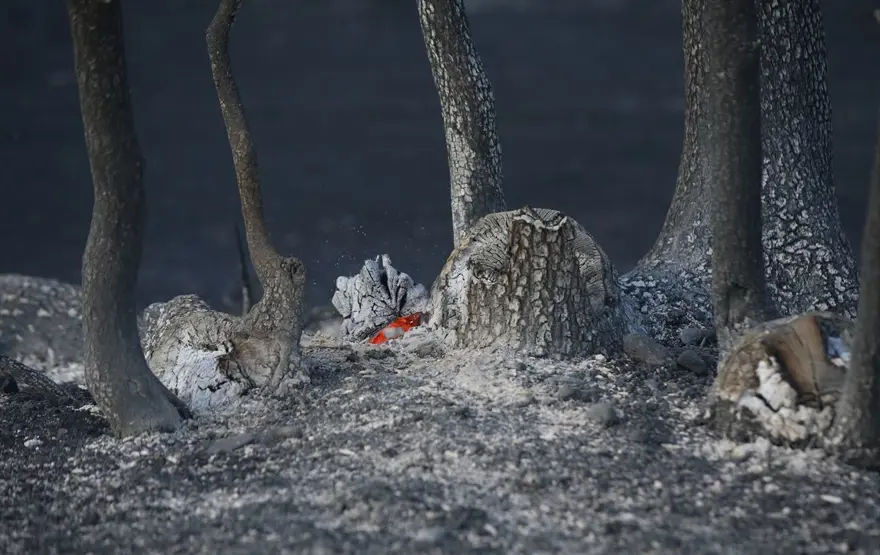 Çanakkale'deki orman yangını kontrol altına alındı 2