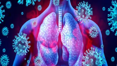 Latin Amerika’da salgın endişesi: Oropouche Virüsü nedir, belirtileri neler?