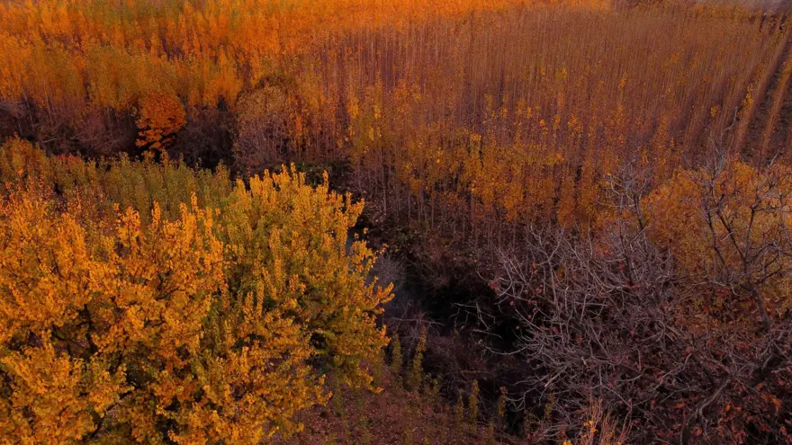 Mardin'de ortaya kartpostallık görüntüler çıktı! Her köşe başı tabloyu andırıyor 1