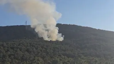 Maltepe'deki yangına 2 gözaltı: Kamp ateşine yastık atmışlar