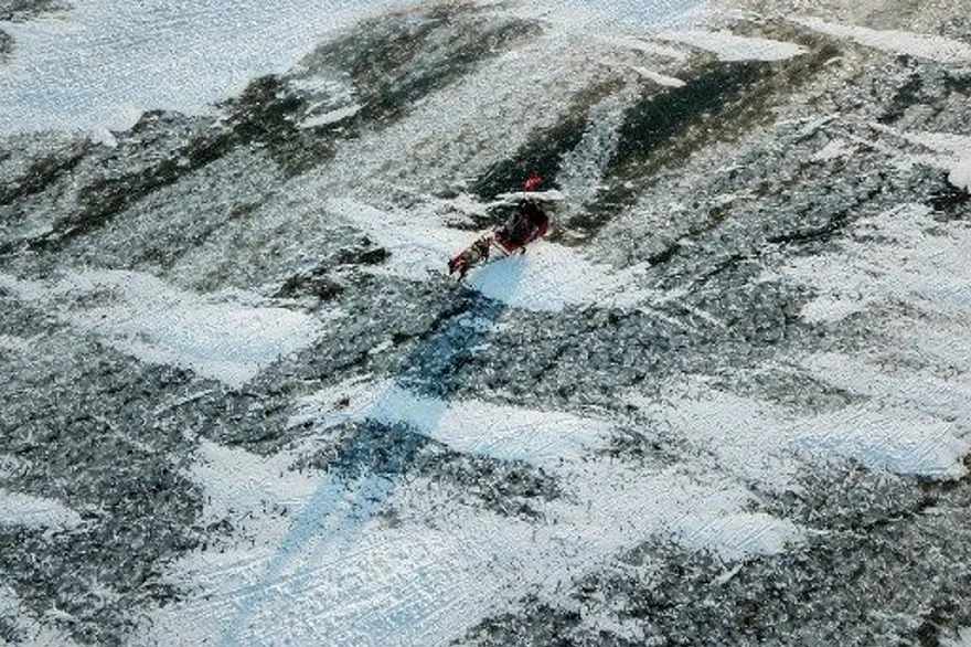 GÖÇMEN KUŞLARI İÇİN CENNET 4