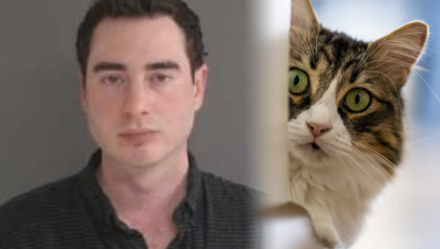 Hız sınırını aşan sürücü "evde kedim bekliyor" dedi, 18 bin lira cezadan kaçamadı