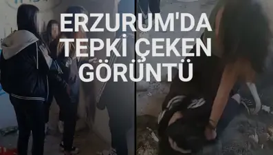 MEB iki öğrencinin kavga ettiği olayla ilgili soruşturma başlattı