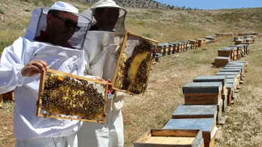 "Dünyanın En İyi Balı" ödülü Türkiye’ye verildi
