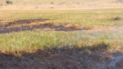 Bingöl'de kendiliğinden yanan toprak tedirginlik yarattı