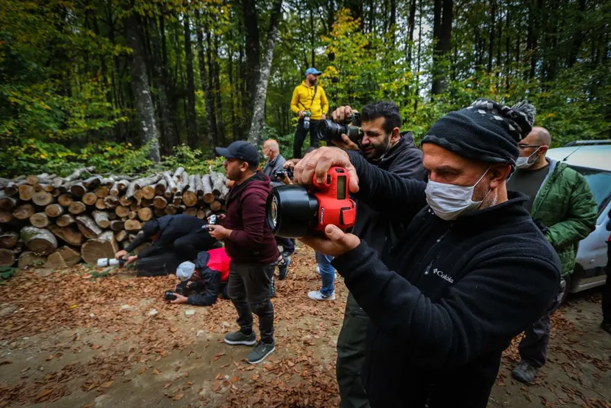Doğa ve fotoğraf tutkunları, sonbahar renklerine bürünen Domaniç'te buluştu 3