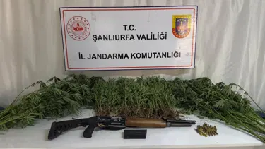 Şanlıurfa'da jandarmadan uyuşturucu operasyonu