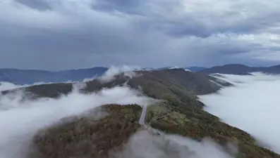 Samsun'da sis etkili oldu