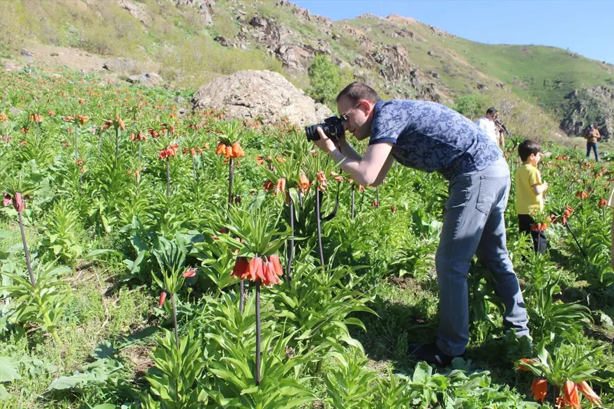 Hakkari'de 'ağlayan gelinler' ziyaretçi akınına uğruyor 7