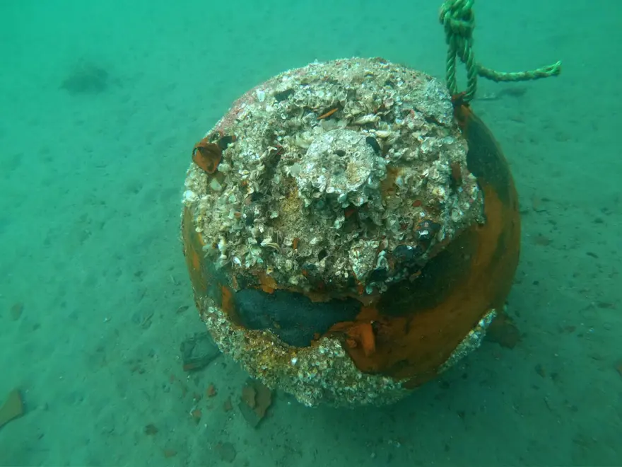 Çanakkale Savaşları'ndan kalma: Denizde etkisiz hale getirildi 4