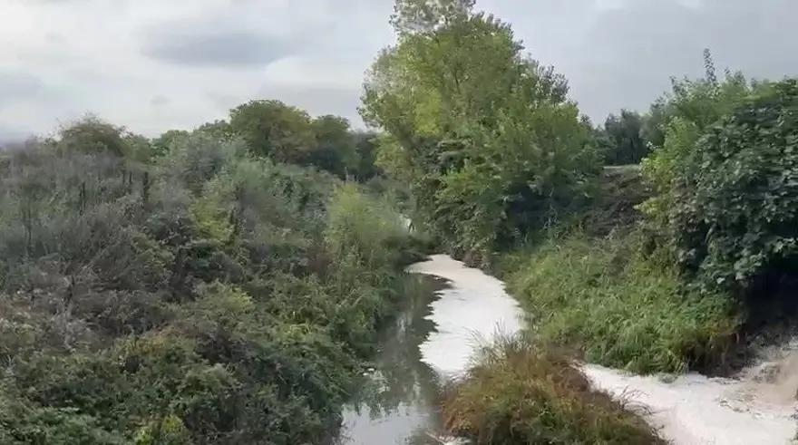Kötü koku ve renk değişimi endişe yarattı: Gemlik Körfezi’ne kadar ulaşıyor 1 Kötü koku ve renk değişimi endişe yarattı: Gemlik Körfezi’ne kadar ulaşıyor 1