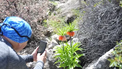 "Ağlayan Gelin"i görmek için 2 bin 900 rakıma kadar çıktılar