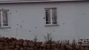 Bingöl’de iki ev uzun namlulu silahlarla tarandı