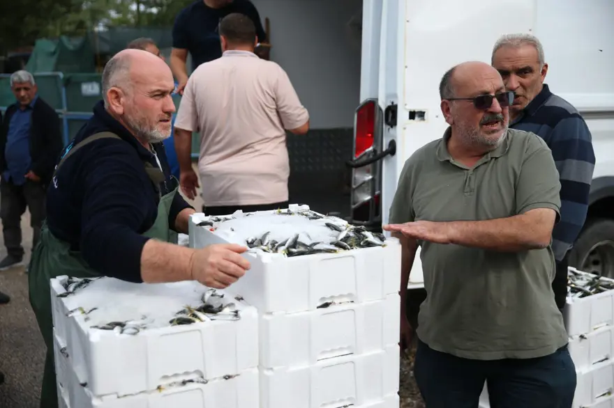 Balıkçıların yüzünü güldürdü: Tezgahta kilosu 150 lira 1 Balıkçıların yüzünü güldürdü: Tezgahta kilosu 150 lira 1