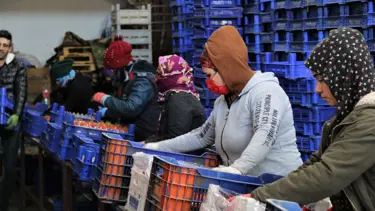 Soğuk havalar Antalya'da toptancı halini de vurdu