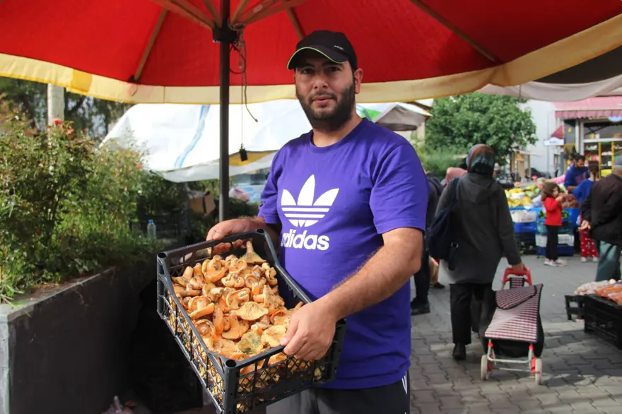 Yağmur sonrası çıkıyor, ormanda tek tek toplanıyor: Kilosu 500 liradan pazara indi 2 Yağmur sonrası çıkıyor, ormanda tek tek toplanıyor: Kilosu 500 liradan pazara indi 2